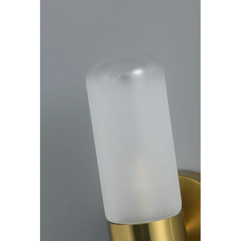 Frosted Elegance Wall Light