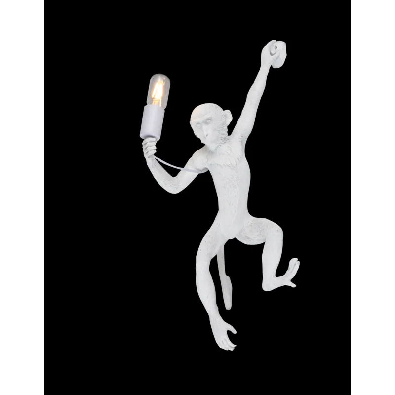 The Monkey's Gaze Novelty Wall Light