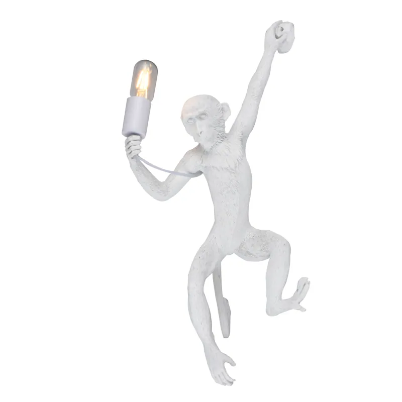 The Monkey's Gaze Novelty Wall Light