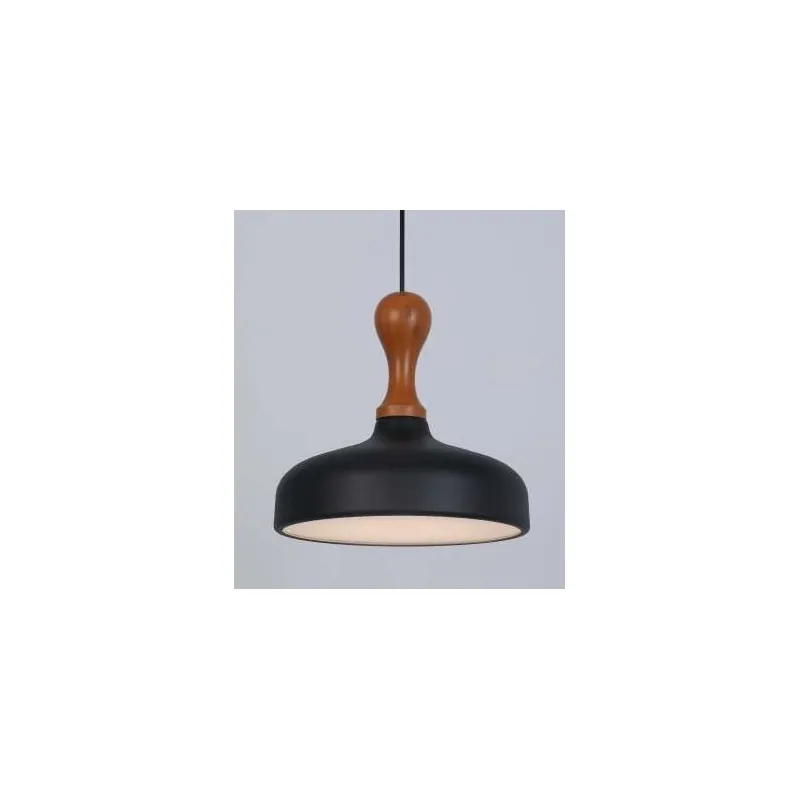 Black Timber Dome Pendant Light
