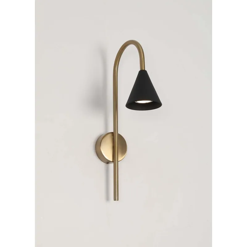 Elegant Curve Wall Light