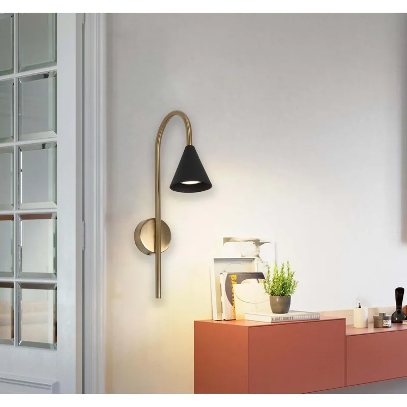 Elegant Curve Wall Light