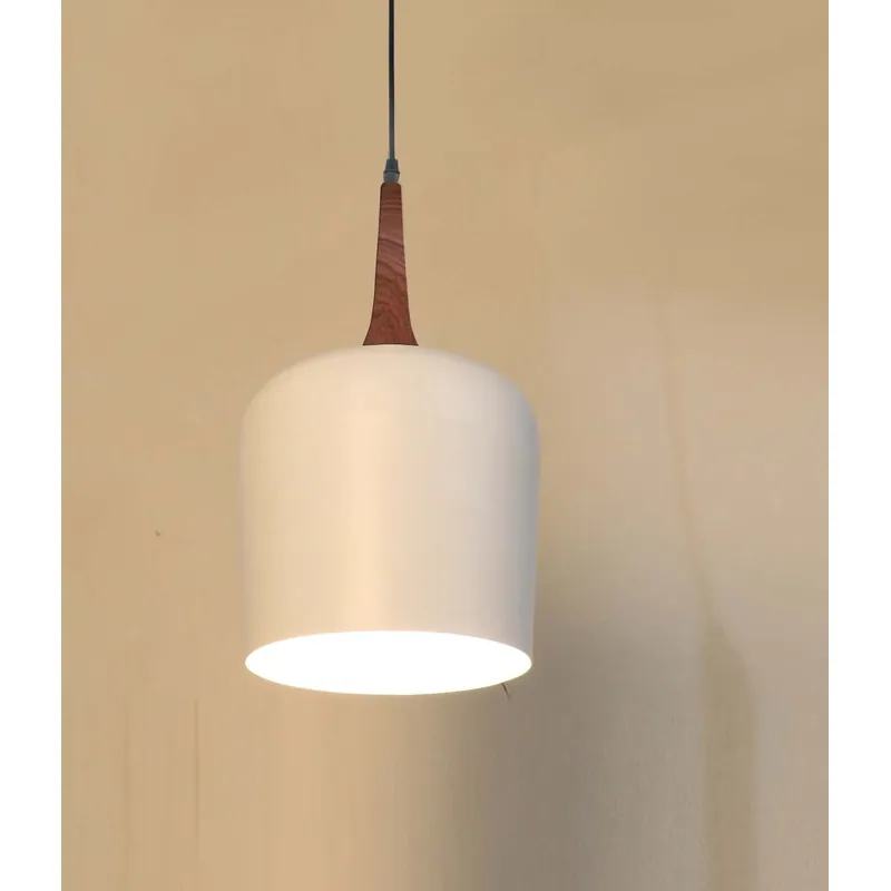Terra and Snow Pendant Light