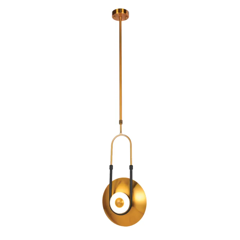 Golden Arc Pendant Light