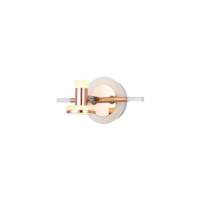 Rose Aura Modern LED Mirror Light