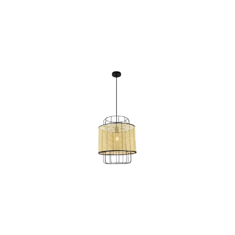 Roseate Beam Pendant Light