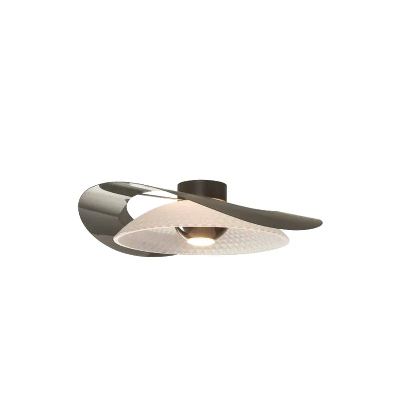 The Obsidian Curve Acrylic Ceiling Light