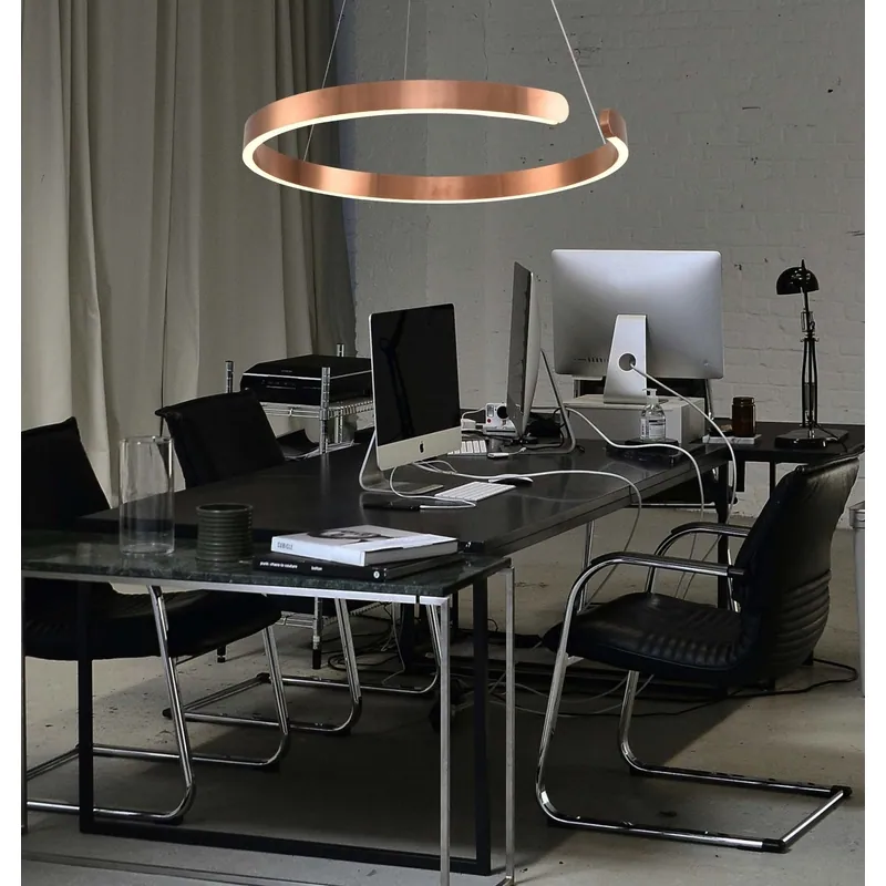 Celestial Ribbons Ring LED Pendant Light