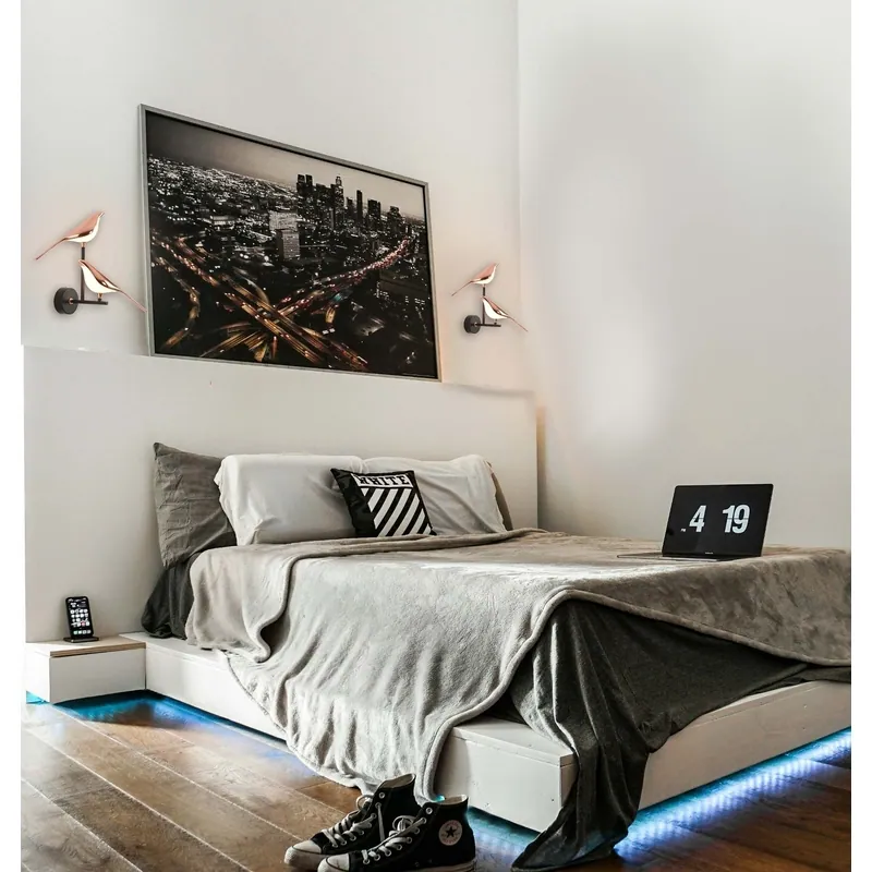 The Twin Ravens Wall Light